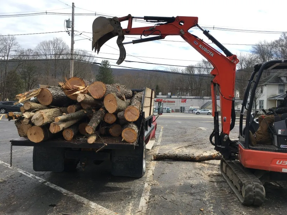 Local yard cleanup service experts serving Ellenville, NY - Santi Lawn Care