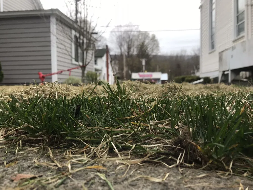 Top-rated landscape design near you across Ellenville, NY - Santi Lawn Care