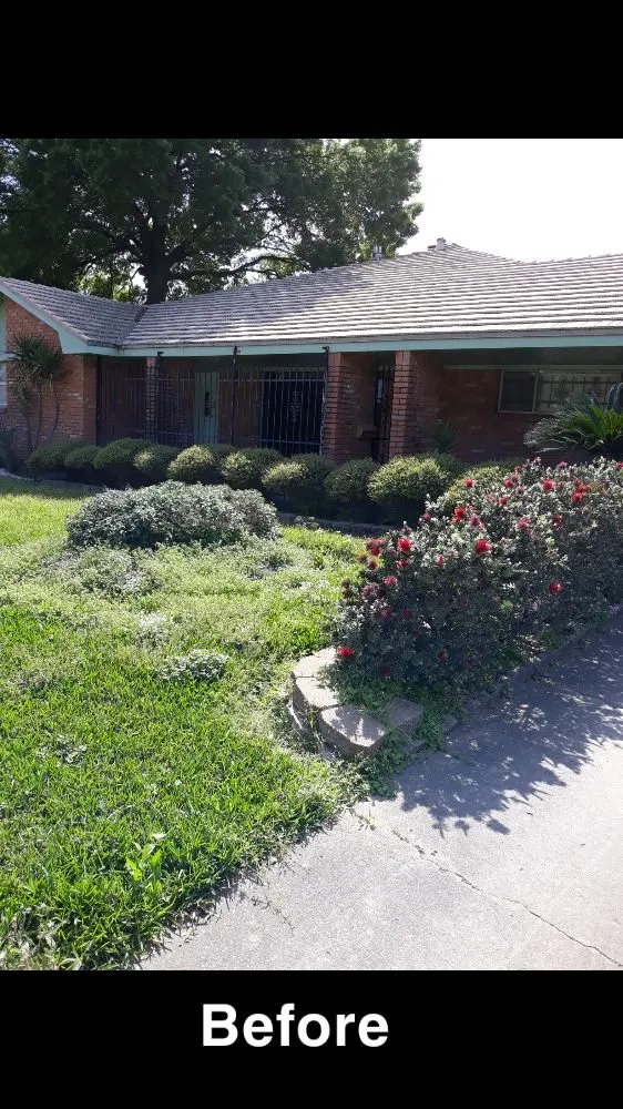 Custom lawn mowing service in Houston, TX - Santiago and Son's Lawn Care