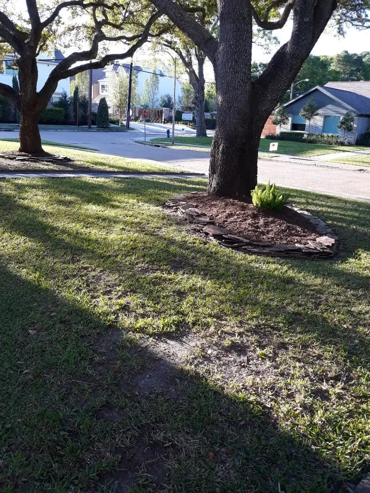 Affordable landscape design for year-round maintenance in Houston, TX by Santiago and Son's Lawn Care