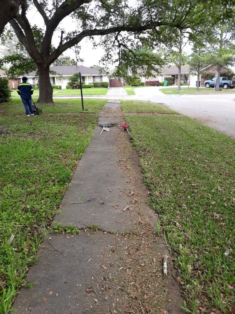 Professional yard cleanup service for outdoor upgrades in Houston, TX by Santiago and Son's Lawn Care