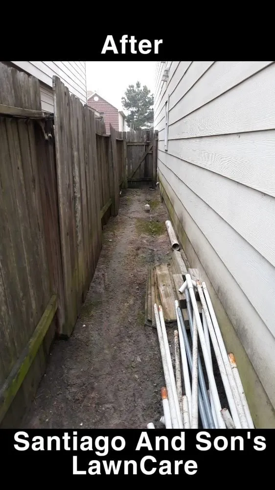 Professional landscape design in Houston, TX by Santiago and Son's Lawn Care