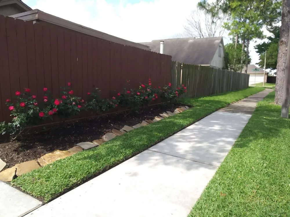 Top-rated landscape design for beautiful yards across Houston, TX - Santiago and Son's Lawn Care