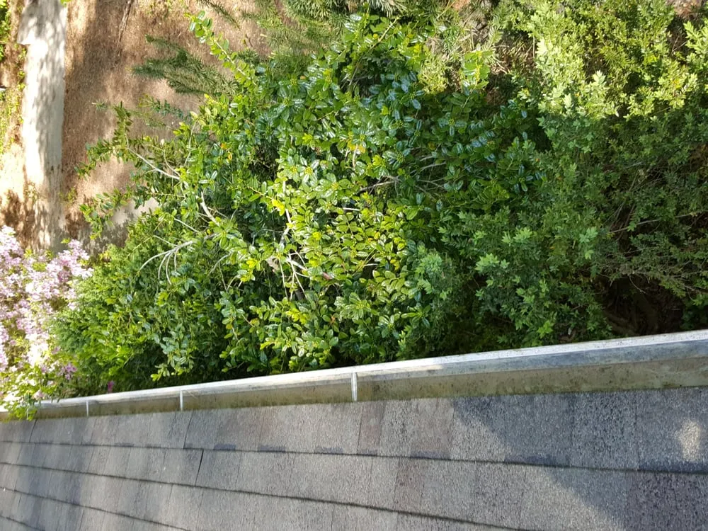 Professional lawn care service in Graham, NC by Santiago Brothers Landscaping