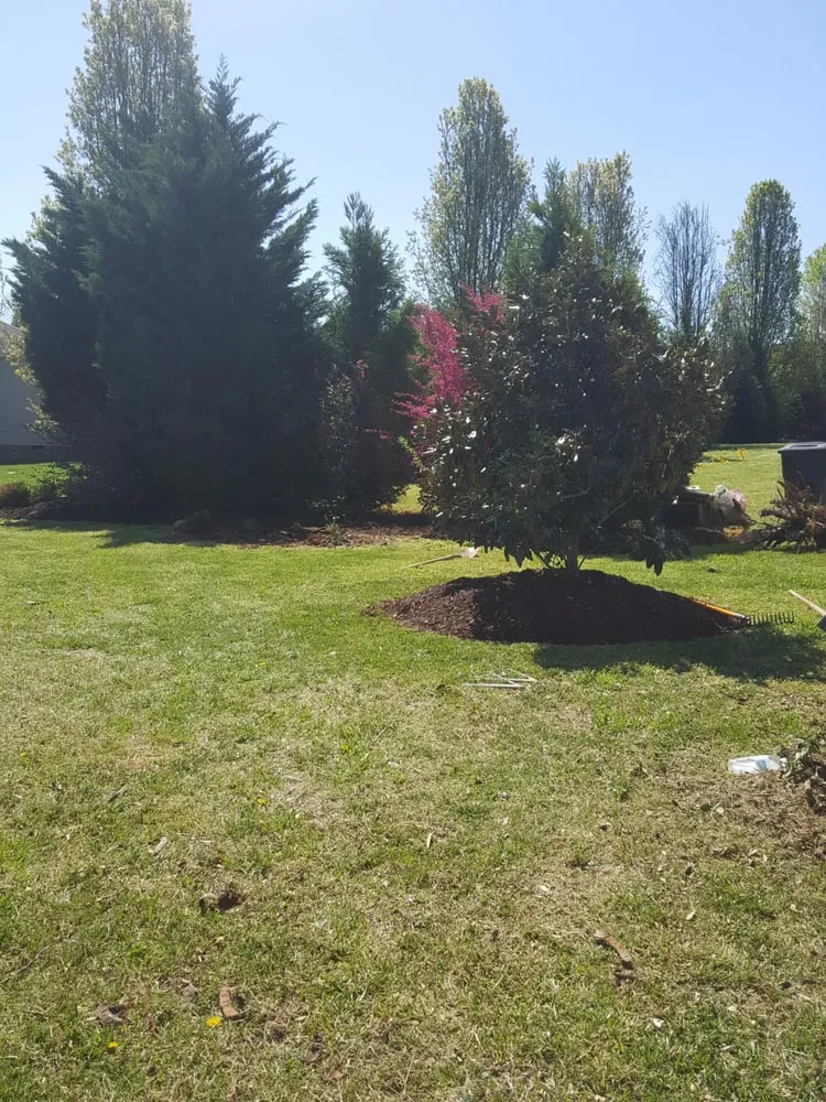 Expert landscape installation experts serving Graham, NC - Santiago Brothers Landscaping
