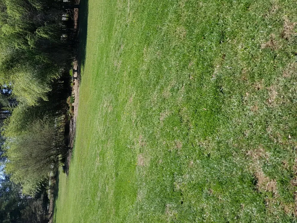 Expert yard maintenance for homes across Graham, NC - Santiago Brothers Landscaping