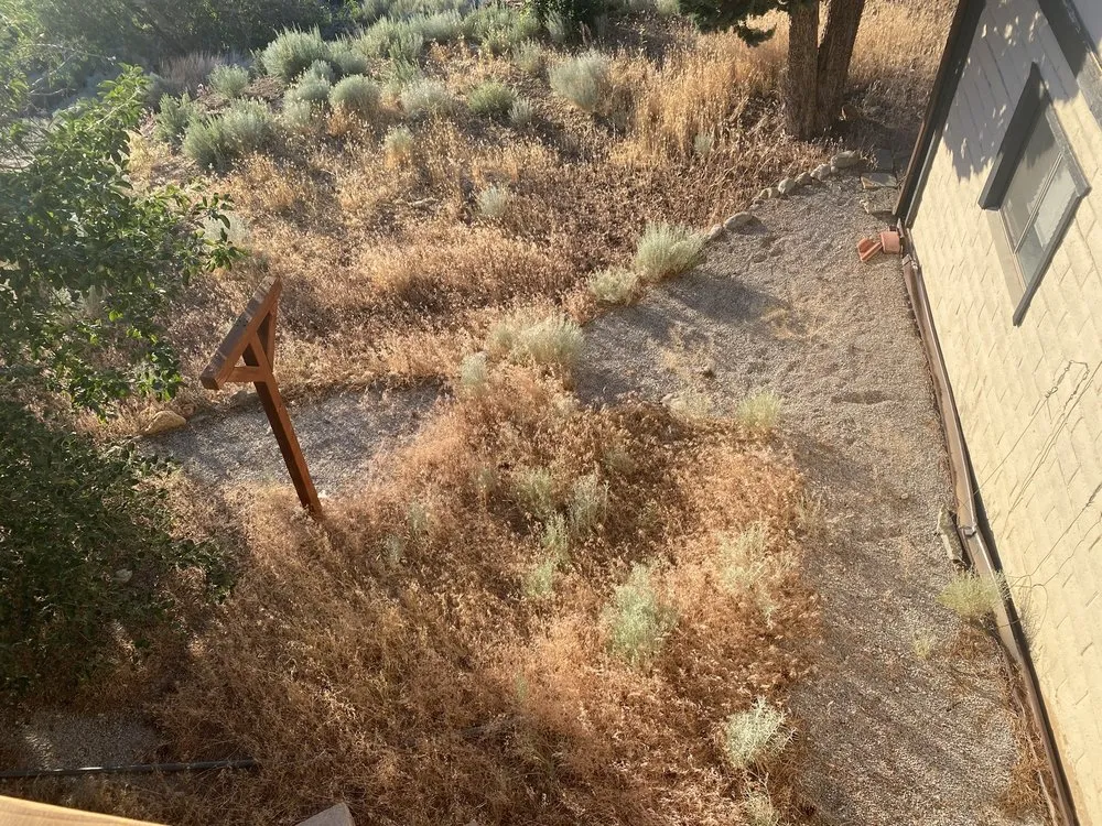 Reliable yard maintenance in Reno, NV - Santiago Landscape & Maintenance