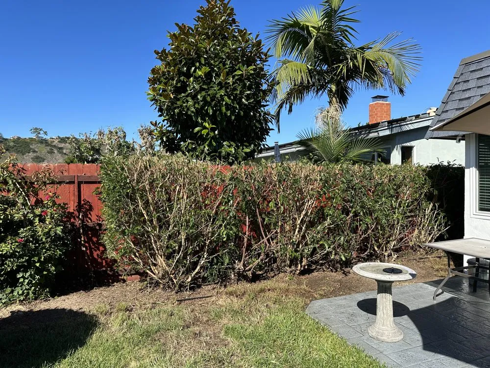 Affordable landscape design experts serving Escondido, CA - Santiago Landscape