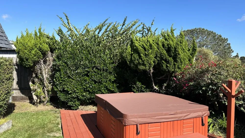 Affordable yard maintenance in Escondido, CA by Santiago Landscape