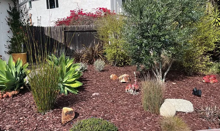 Trusted landscape design with custom design across Vista, CA - Santiago Landscapes