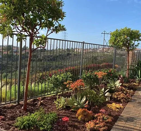 Custom landscape installation in Vista, CA - Santiago Landscapes