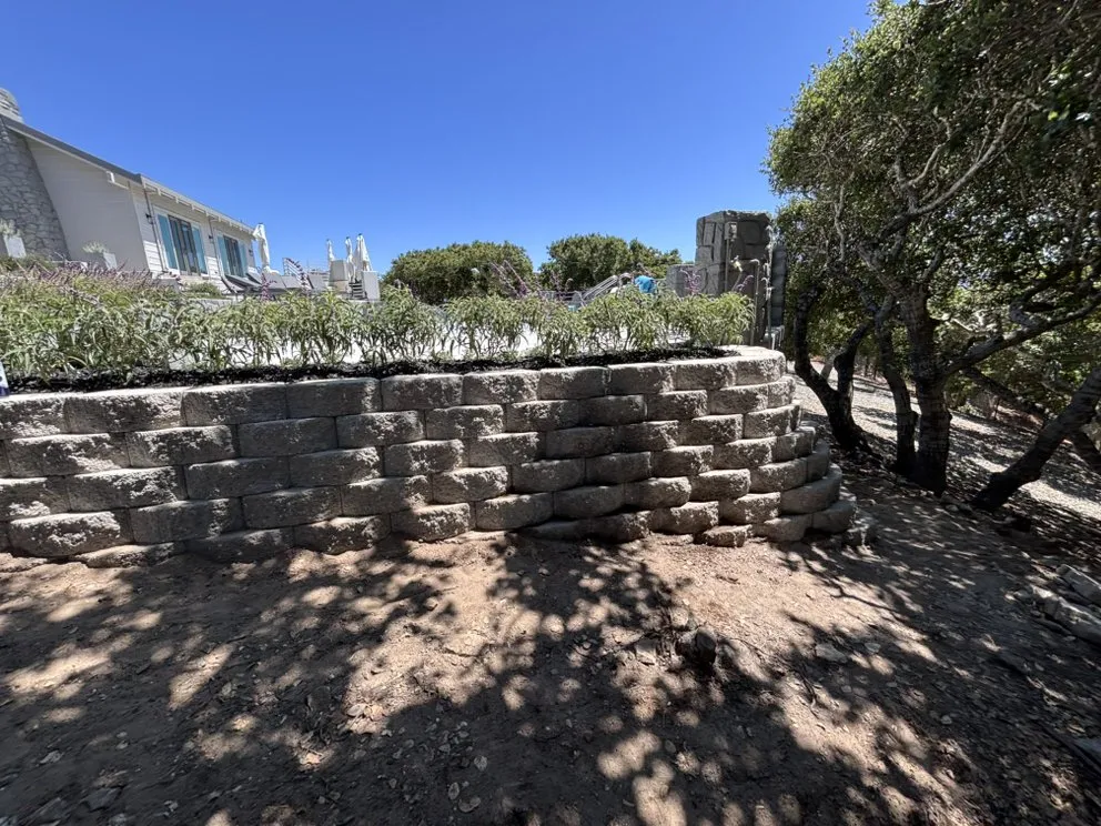 Top-rated lawn mowing service for year-round maintenance across Salinas, CA - Santiago Landscaping