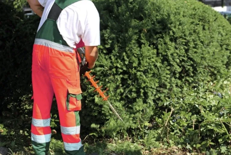 Local yard cleanup service for outdoor upgrades in Salinas, CA by Santiago Landscaping