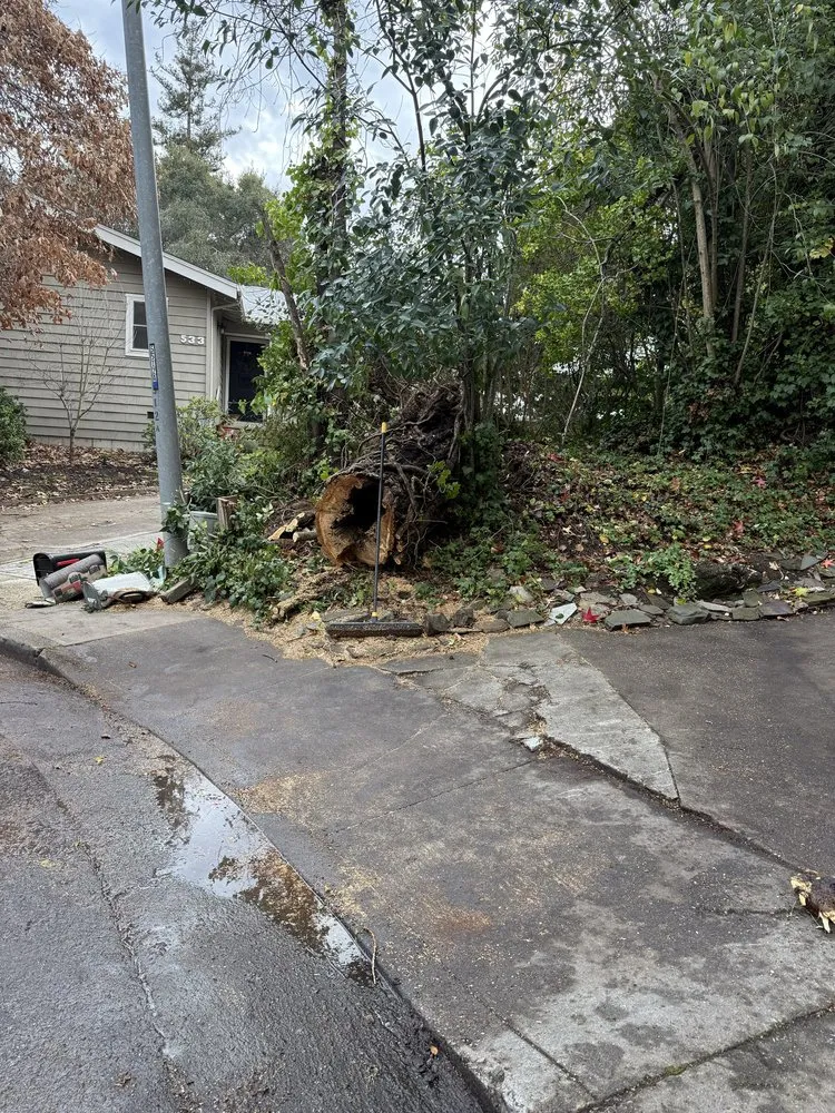 Trusted outdoor landscaping experts serving Salinas, CA - Santiago Landscaping