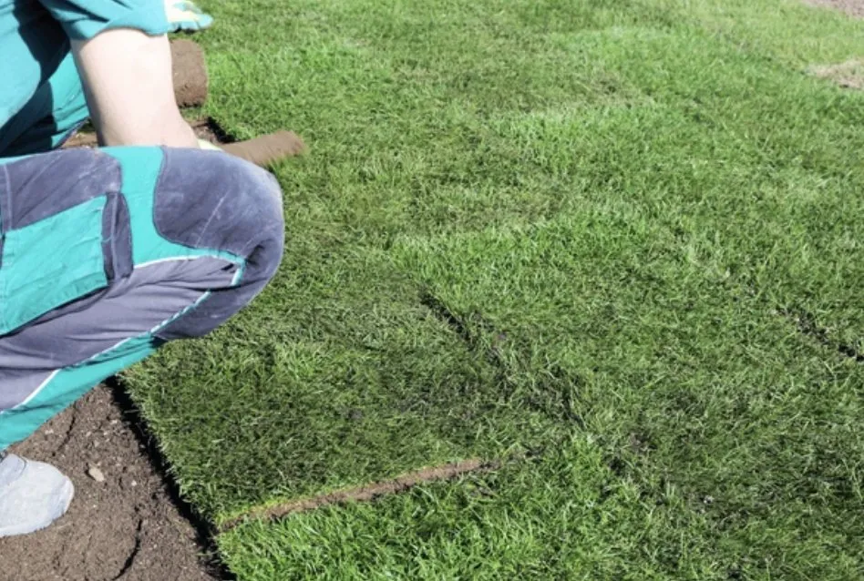 Professional landscaping services experts serving Salinas, CA - Santiago Landscaping