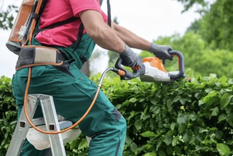 Reliable lawn care service for year-round maintenance across Salinas, CA - Santiago Landscaping