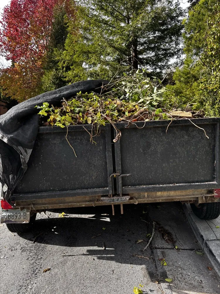 Local landscaping services in Salinas, CA - Santiago Landscaping