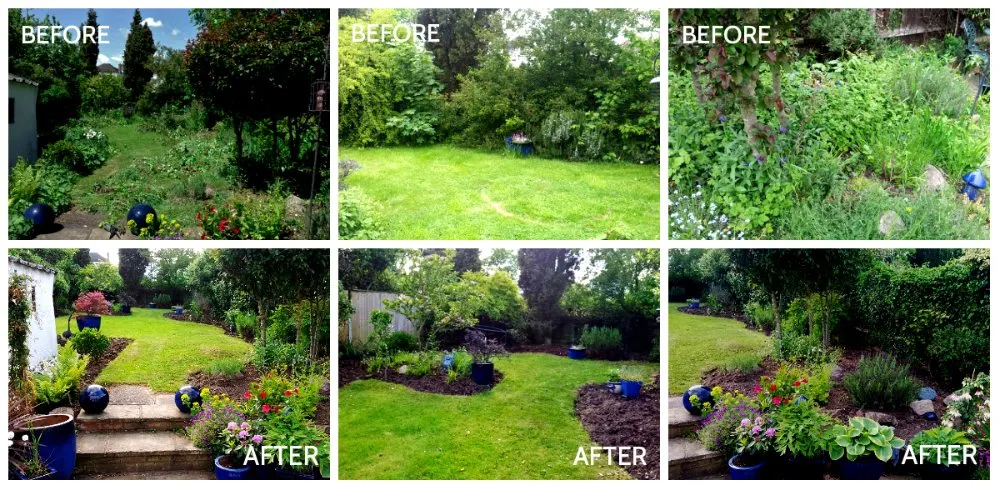 Reliable landscaping services for year-round maintenance in West Sacramento, CA by Santiago lawn care