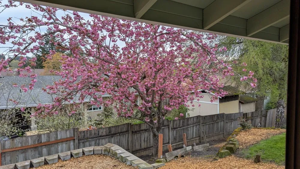 Expert residential landscaping in Forest Grove, OR - Santiago Lawn Maintenance