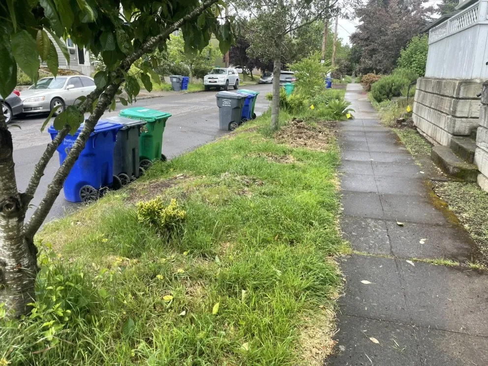 Affordable residential landscaping experts serving Forest Grove, OR - Santiago Lawn Maintenance