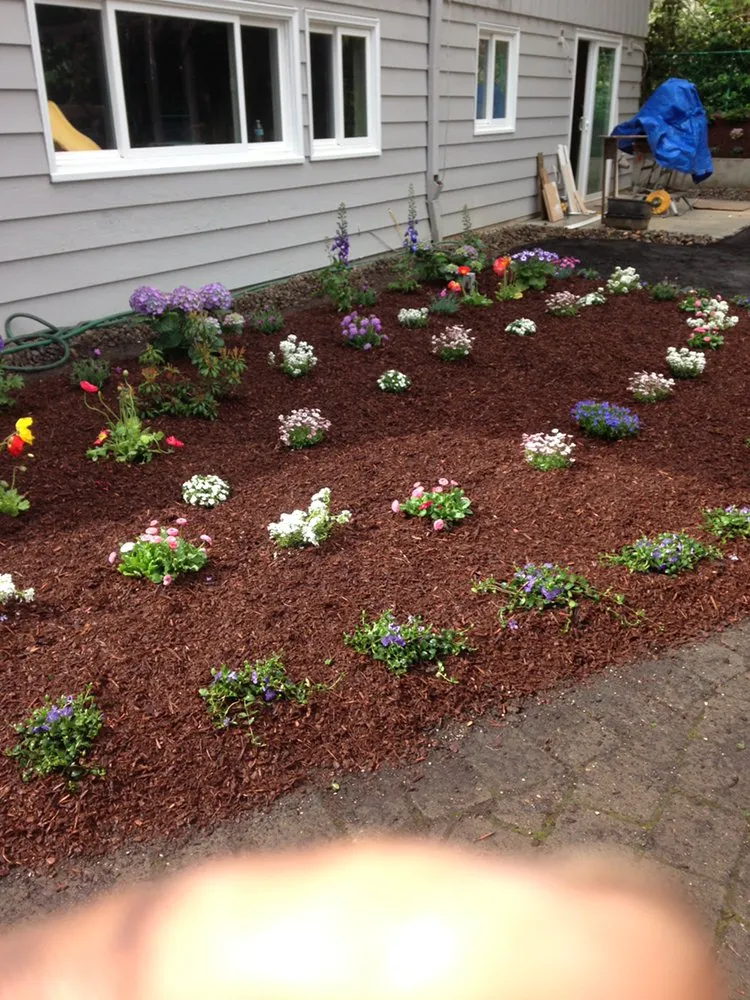 Top-rated yard maintenance for outdoor upgrades in Forest Grove, OR by Santiago Lawn Maintenance