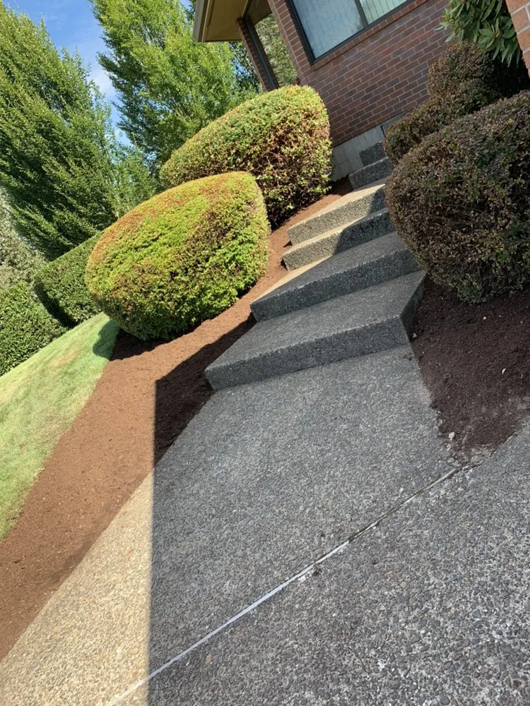 Affordable lawn care service experts serving Forest Grove, OR - Santiago Lawn Maintenance