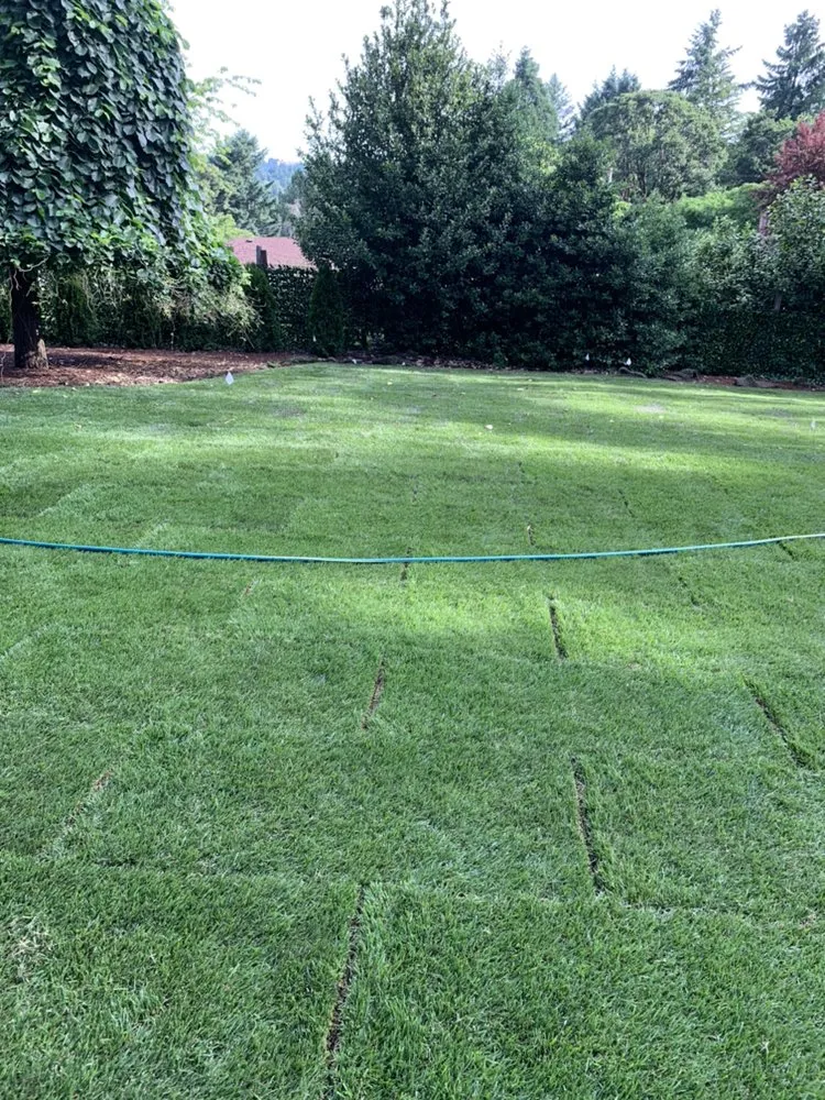 Trusted lawn care service for residential properties across Forest Grove, OR - Santiago Lawn Maintenance