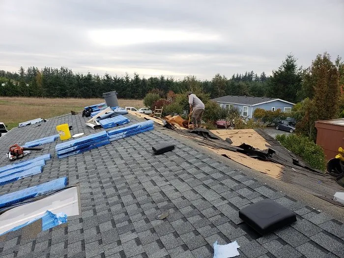Affordable yard cleanup service for year-round maintenance across Bellingham, WA - Santiago Roofing Contractor Service