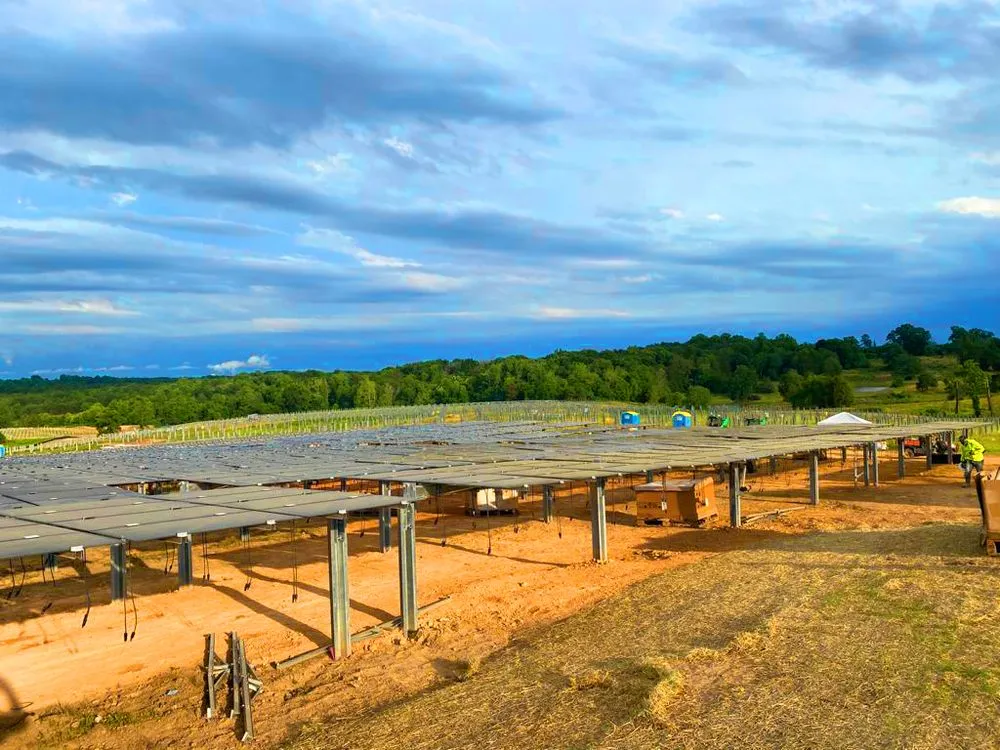 Professional outdoor landscaping with custom design across Goldsboro, NC - Santiago Solutions