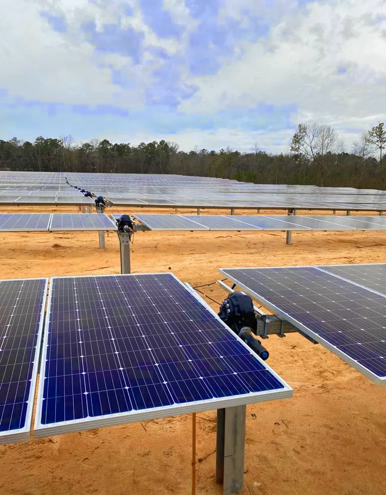 Local yard maintenance for beautiful yards in Goldsboro, NC by Santiago Solutions