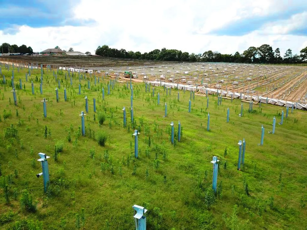 Custom landscape installation for outdoor upgrades across Goldsboro, NC - Santiago Solutions