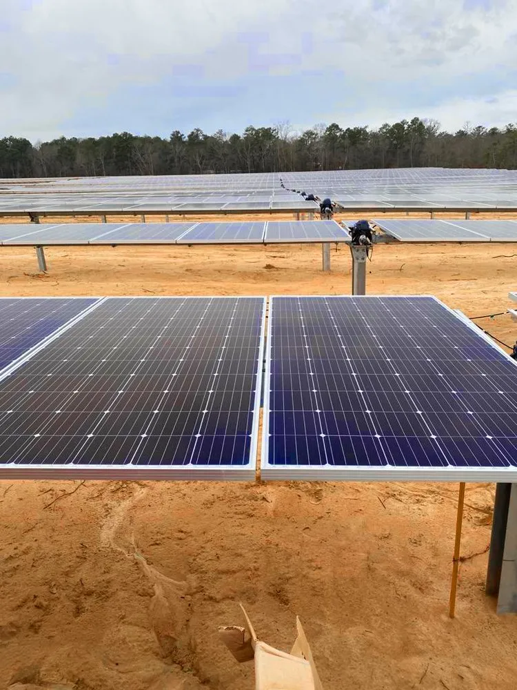 Professional outdoor landscaping for year-round maintenance in Goldsboro, NC by Santiago Solutions