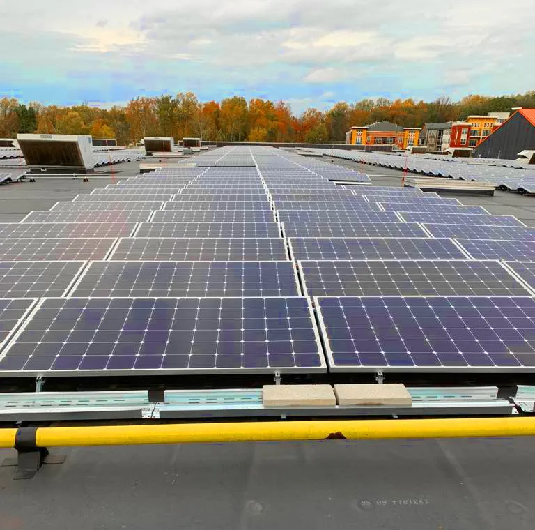 Reliable lawn mowing service in Goldsboro, NC by Santiago Solutions