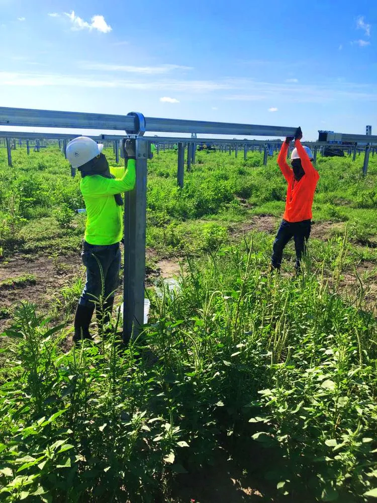 Expert lawn care service for year-round maintenance across Goldsboro, NC - Santiago Solutions