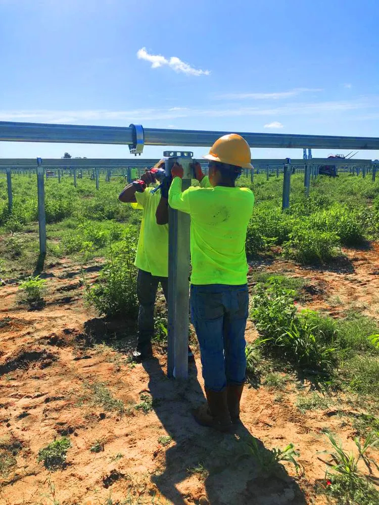 Top-rated landscape installation with custom design across Goldsboro, NC - Santiago Solutions