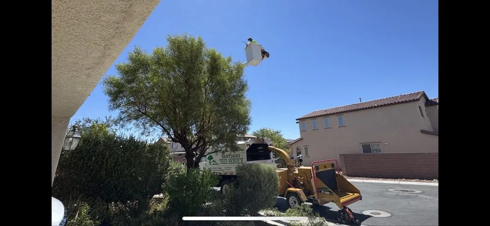 Affordable outdoor landscaping for outdoor upgrades across Las Vegas, NV - Santiago Tree Services