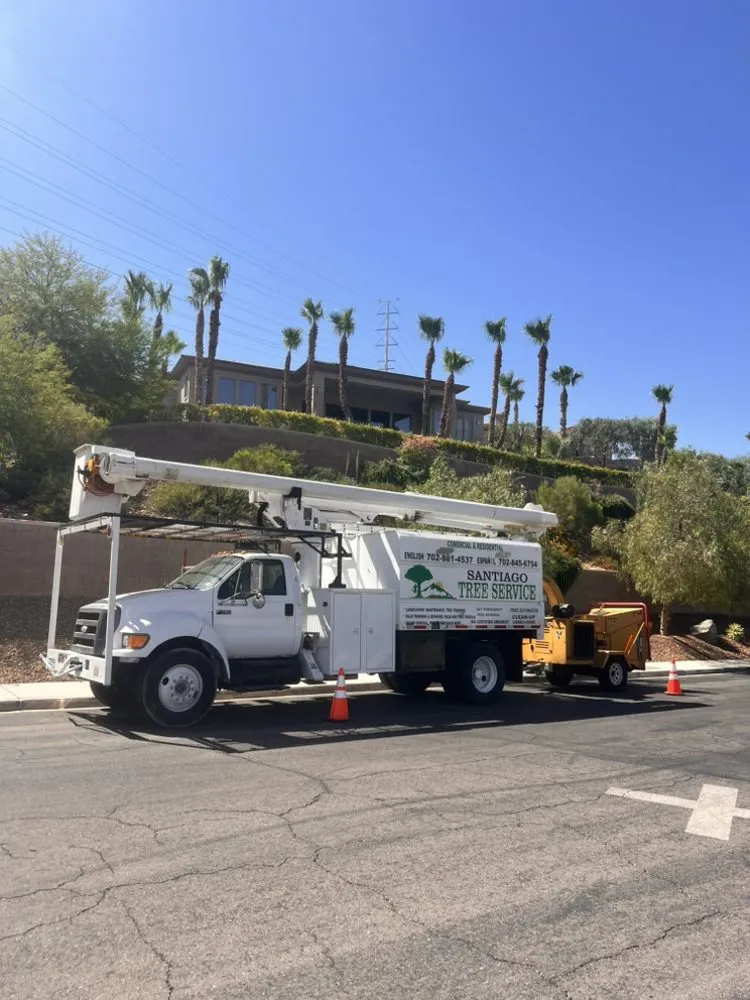 Trusted landscaping services in Las Vegas, NV by Santiago Tree Services