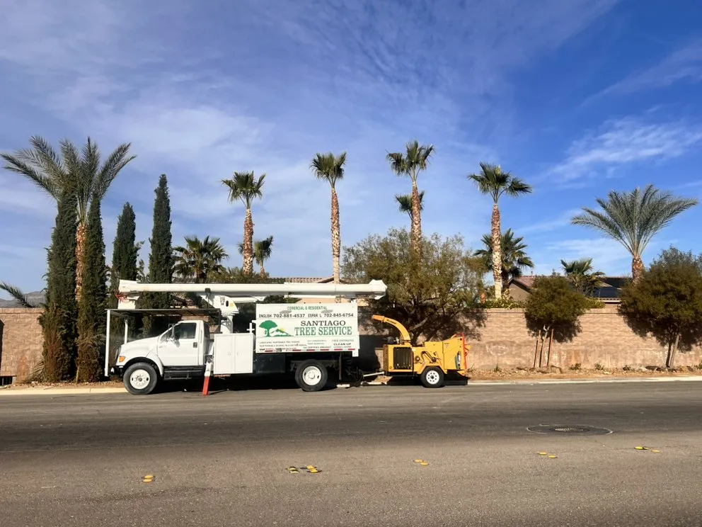 Reliable landscape installation for year-round maintenance in Las Vegas, NV by Santiago Tree Services