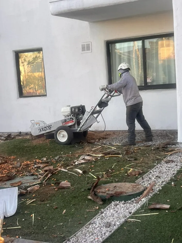 Top-rated outdoor landscaping for residential properties in Las Vegas, NV by Santiago Tree Services