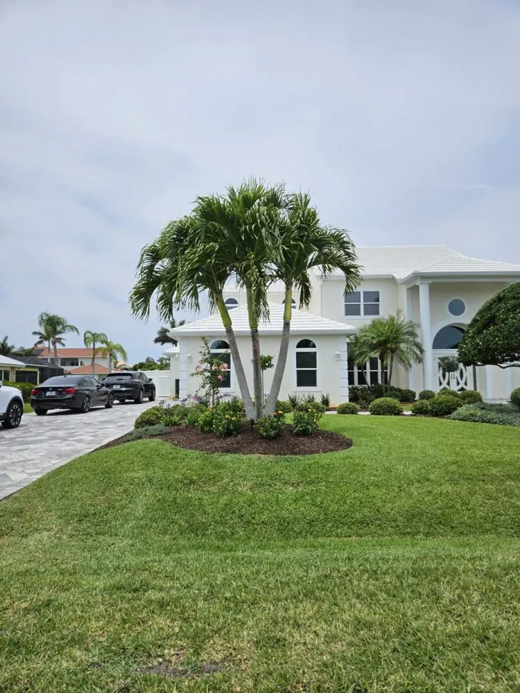 Trusted landscaping services for residential properties in Melbourne, FL by Santiago Trimming