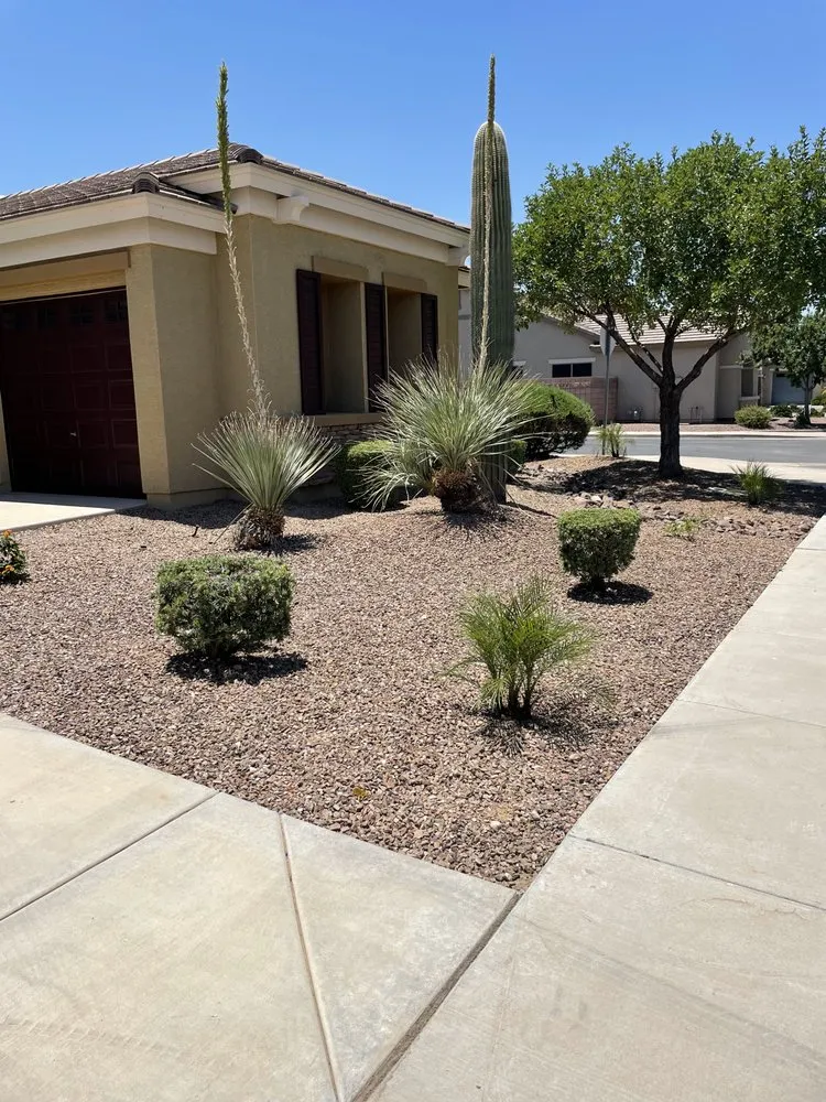 Professional yard cleanup service with custom design in Phoenix, AZ by Santiago’s Home Maintenance Services