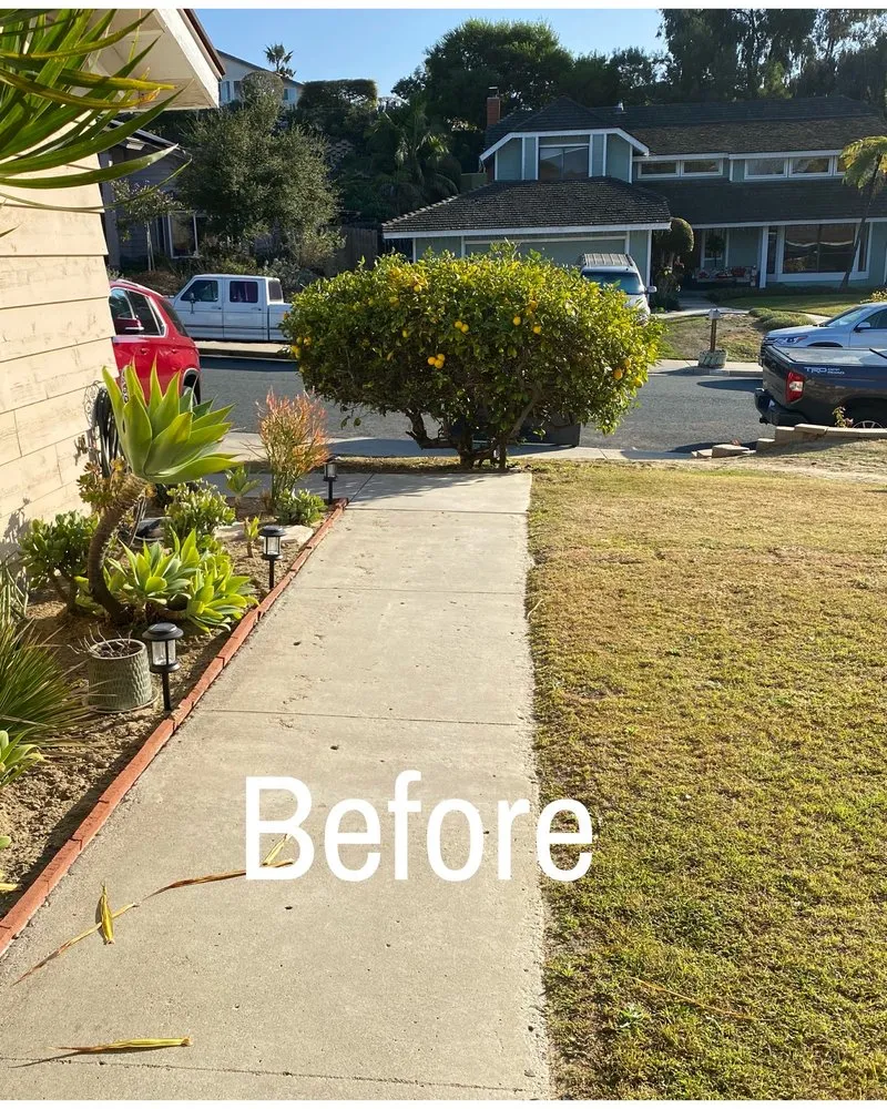 Reliable lawn care service near you across Escondido, CA - Santiago's landscape and tree service