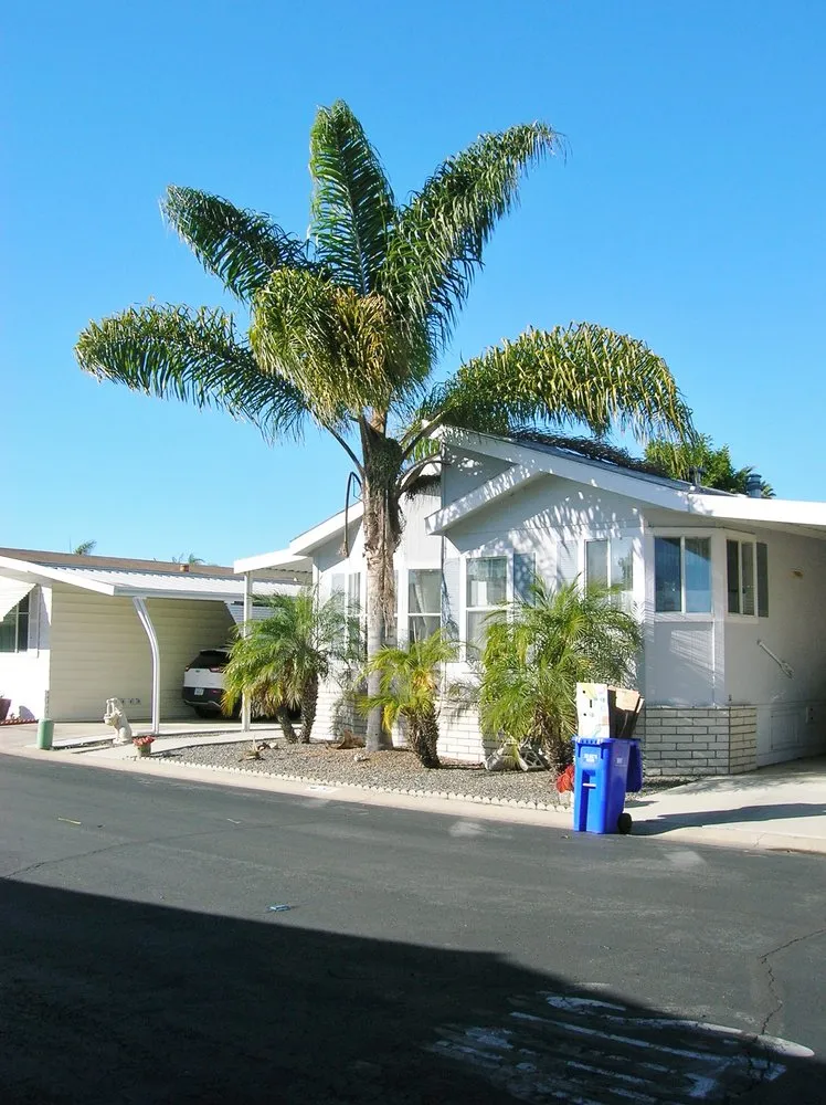 Affordable landscaping services experts serving Escondido, CA - Santiago's landscape and tree service