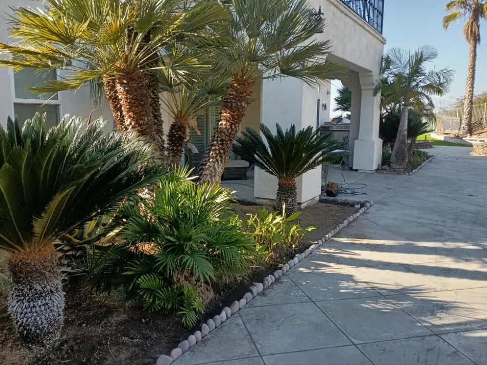 Custom landscape design for residential properties across Riverside, CA - Santiagos Landscape