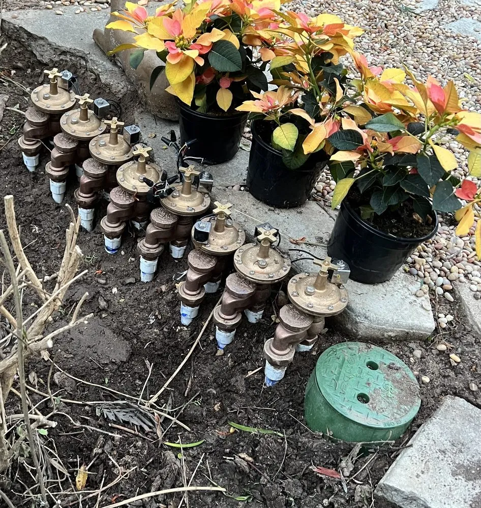 Professional yard maintenance in Altadena, CA - Santiago’s Landscape Services