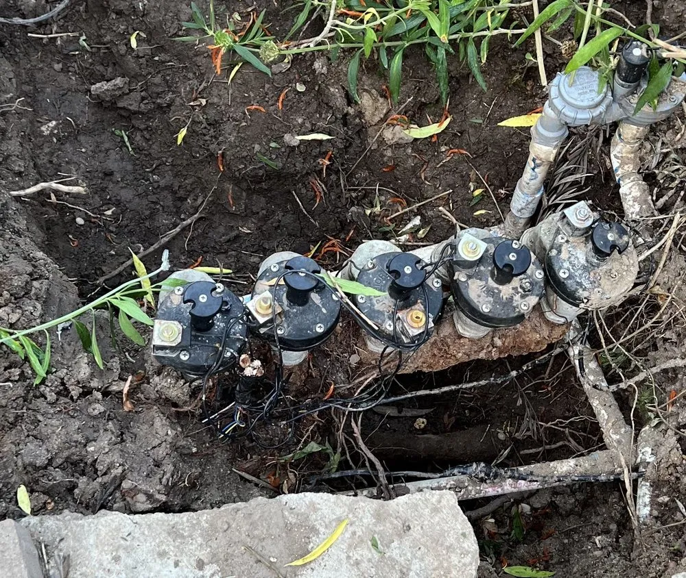 Top-rated yard maintenance for outdoor upgrades across Altadena, CA - Santiago’s Landscape Services