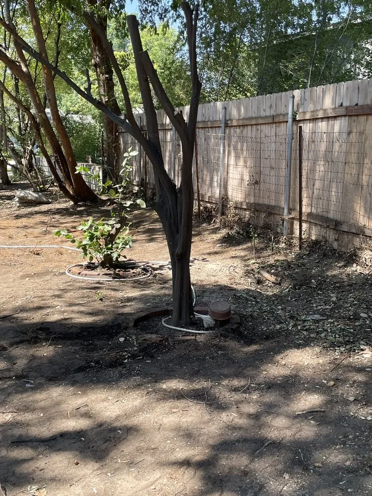 Affordable landscape installation in Altadena, CA - Santiago’s Landscape Services