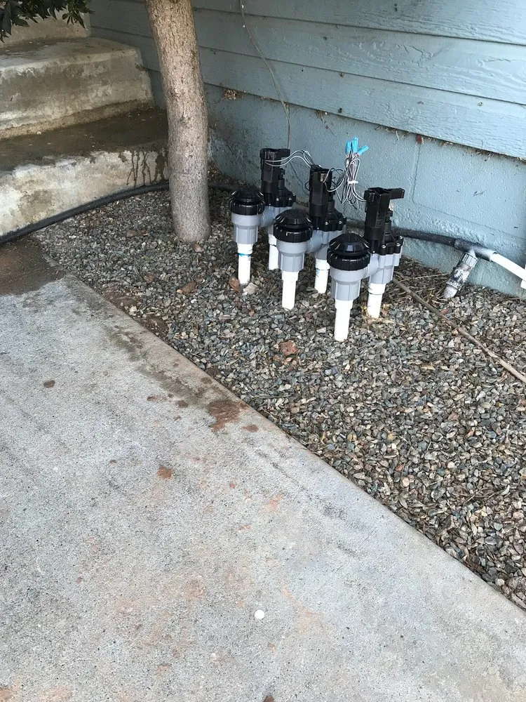 Local yard cleanup service near you in Vista, CA by Santiago’s landscape