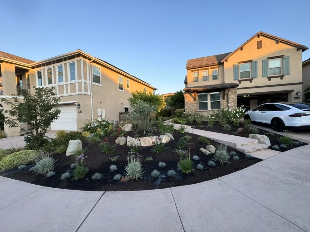 Top-rated landscaping services for year-round maintenance in Escondido, CA by Santiago's Landscaping
