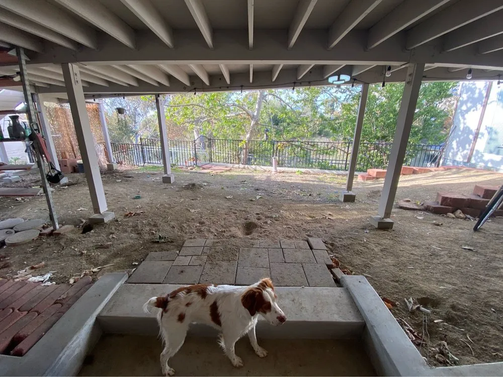 Expert lawn care service in Escondido, CA by Santiago's Landscaping